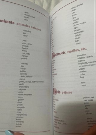 Larousse vocabulario básico del inglés
