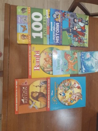 Lote 6 Libros Infantiles Disney y Playmobil
