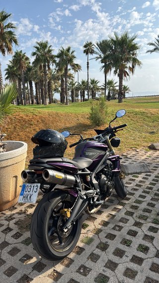 Triumph Street Triple Morado/Negro