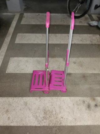 2 Carritos Escolares Rosas