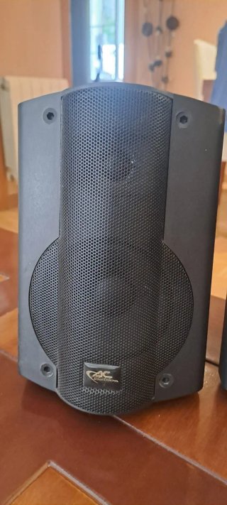 Altavoces de ordenador CAC negros