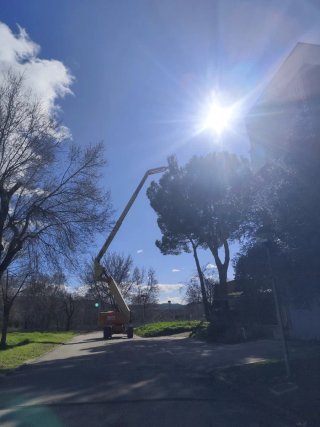 Oficial de jardinería