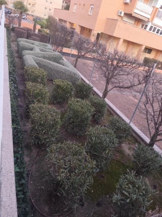 Oficial de jardinería
