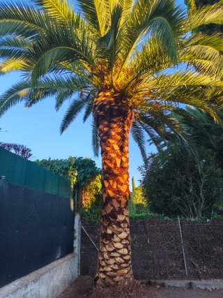 Oficial de jardinería