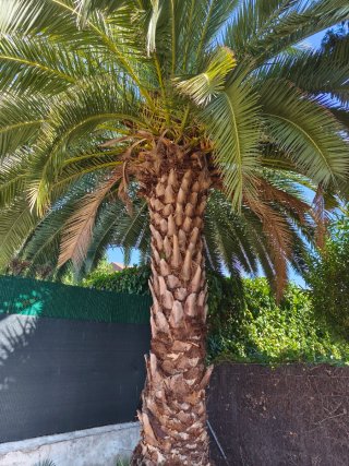Oficial de jardinería