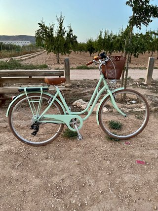 Bicicleta Eléctrica clasica Verde Menta