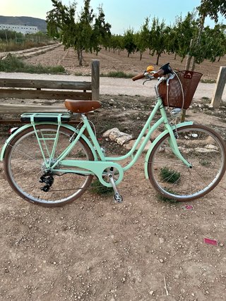 Bicicleta Eléctrica clasica Verde Menta