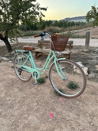 Bicicleta Eléctrica clasica Verde Menta
