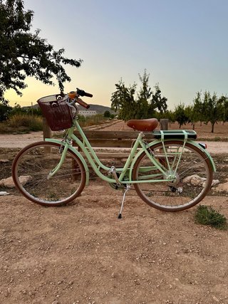 Bicicleta Eléctrica clasica Verde Menta
