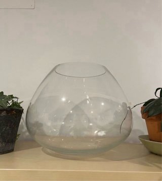 Bola de cristal para maceta/terrario
