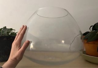 Bola de cristal para maceta/terrario