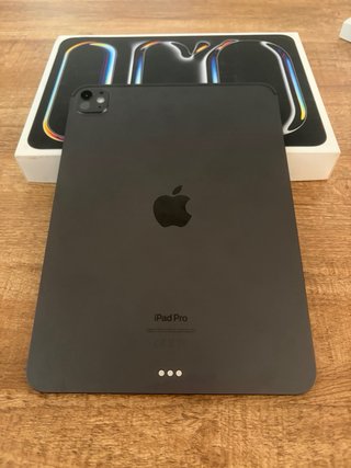 iPad Pro M4 256 GB + Apple Pencil Pro.