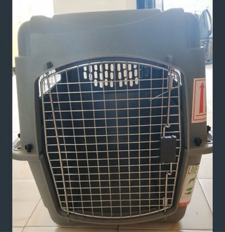 Transportín Perro Mediano Viaje Avión Petmate