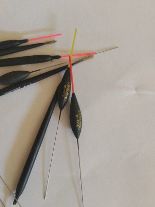 10 galleggianti per la pesca al alborella