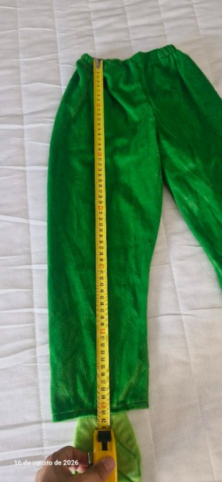 Disfraz Hoja Verde Niño