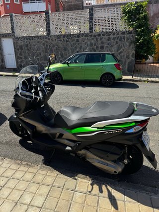Kawasaki J300