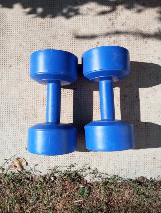 Mancuernas 5 kg (par)