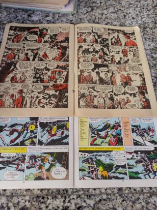 Lote comics Roberto Alcazar y Pedrin