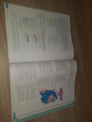Lengua Castellana y Literatura . 3 Secundaria. ...