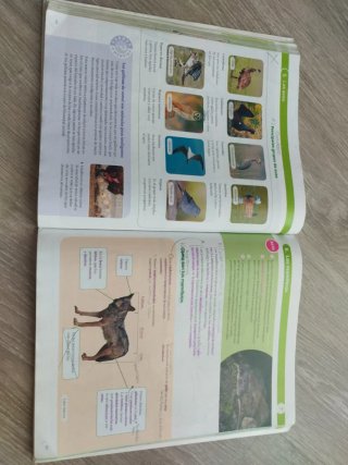 BIOLOGIA Y GEOLOGIA ARAGON 1 ESO CONSTRUYENDO M...