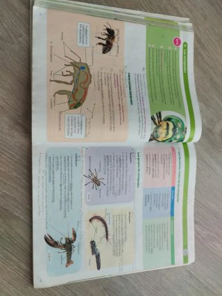 BIOLOGIA Y GEOLOGIA ARAGON 1 ESO CONSTRUYENDO M...