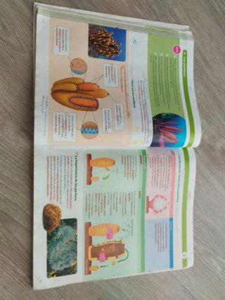 BIOLOGIA Y GEOLOGIA ARAGON 1 ESO CONSTRUYENDO M...