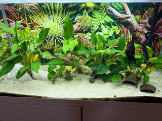 Acuario AQUAEL 120L