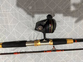 Caña y carrete de pesca