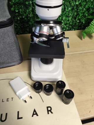 Microscopio Binocular