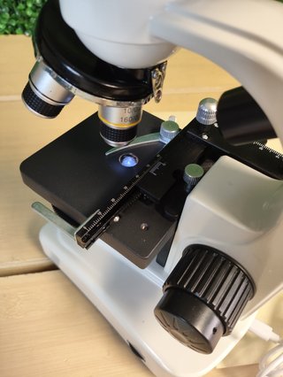 Microscopio Binocular