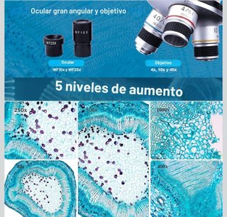 Microscopio Binocular