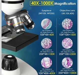 Microscopio Binocular