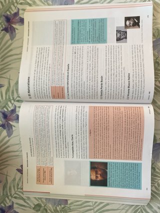 Lengua castellana y literatura 2, BA, lengua co...