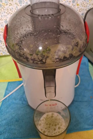 Licuador, extractor zumo (Venta x mudanza)