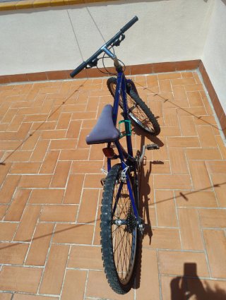 Bicicleta Orbea MTB Azul