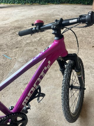 Bicicleta Monty Morada