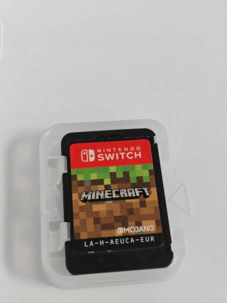 Minecraft Nintendo Switch