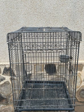 Jaula para loros negra