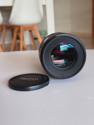 Canon EF 100mm f/2.8 L Macro IS USM