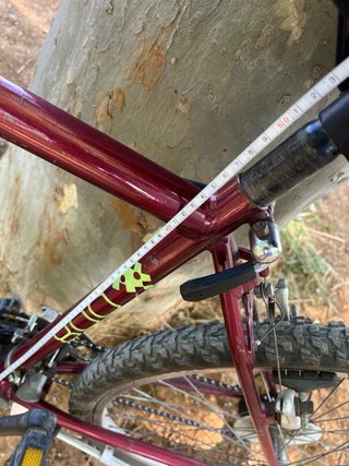 Bicicleta STRONGMAN 800
