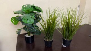 plantas artificiales decorativas