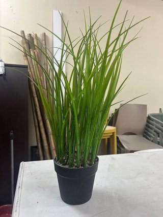 plantas artificiales decorativas