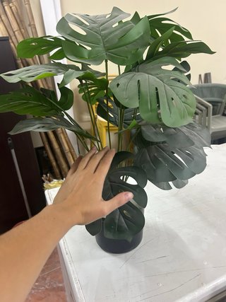 plantas artificiales decorativas