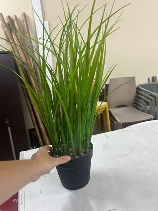 plantas artificiales decorativas