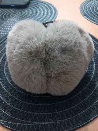 Paraorecchie