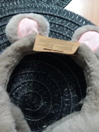 Paraorecchie