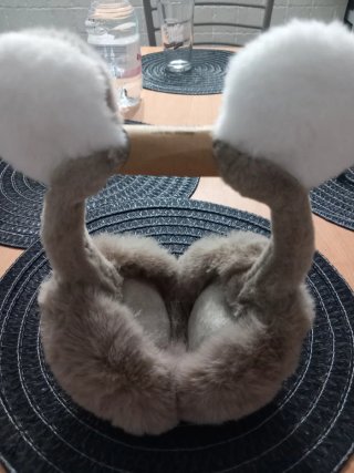 Paraorecchie