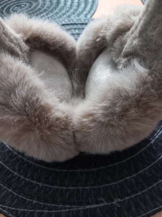 Paraorecchie