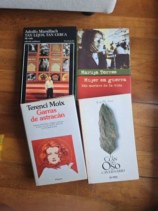 Lote libros. 4x12