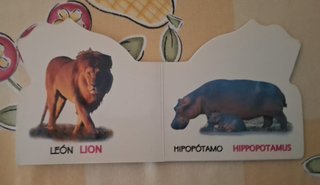 TU MINI ZOO